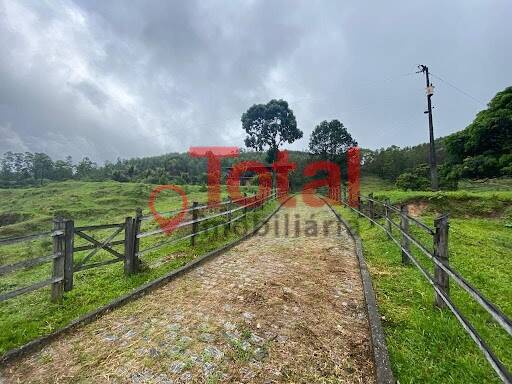 Fazenda à venda com 4 quartos, 64000m² - Foto 6